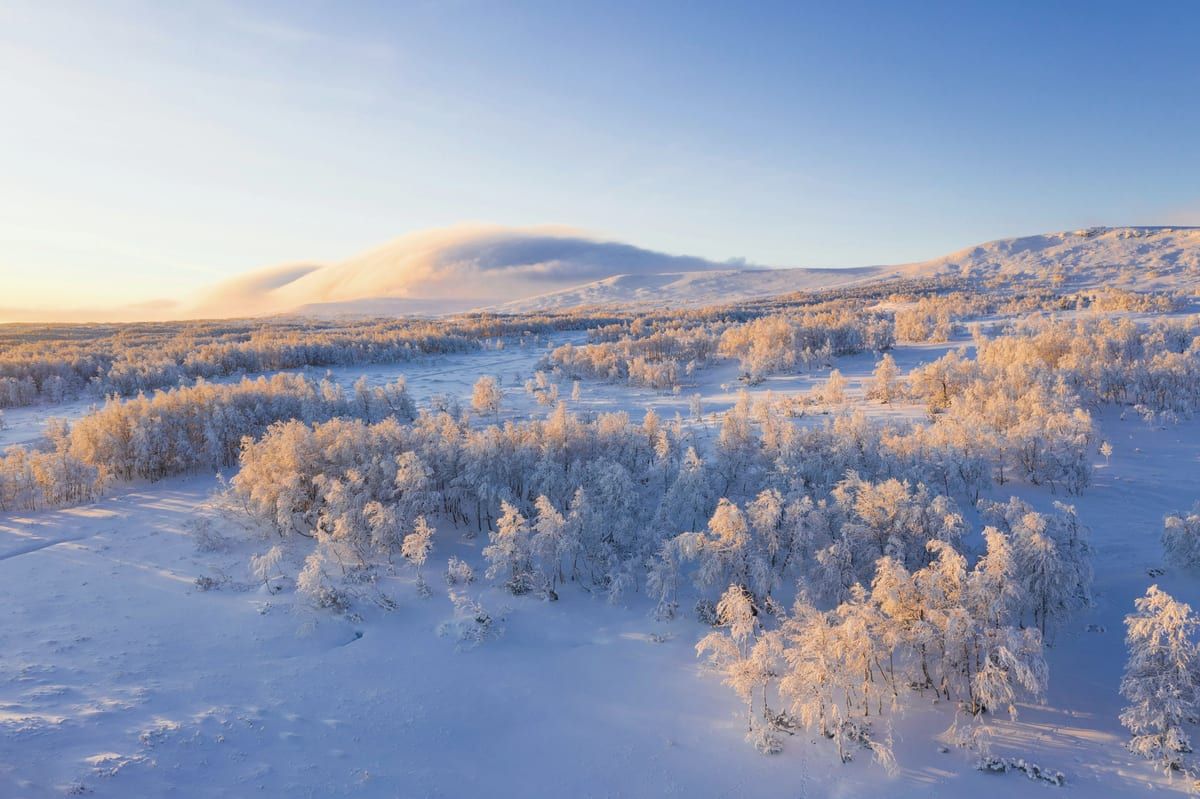 Aerial view of a snowy northern landscape, with distant mountains and golden-hour light across a forest of frost-covered trees.